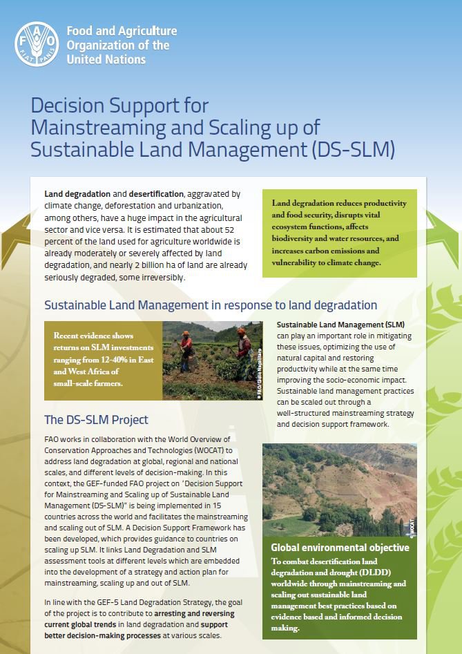 DS-SLM factsheet
