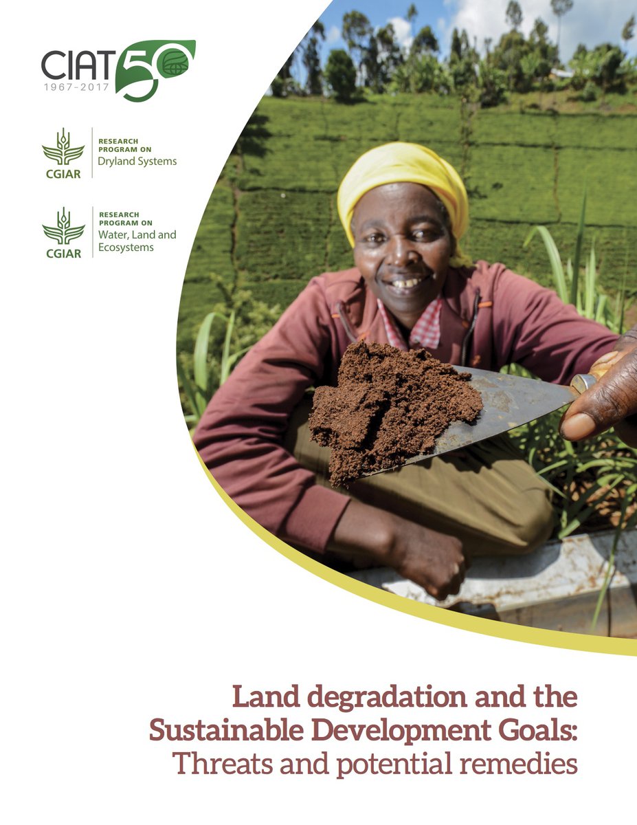 Land degradation and the Sustainable Development Goals: Threats and potential remedies