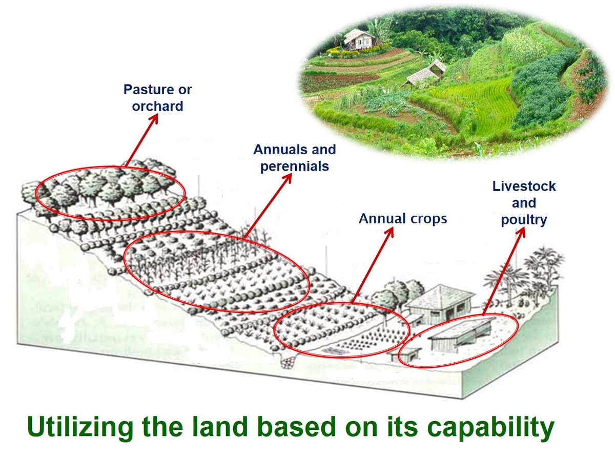 Land use according to capabilitiy Philippines